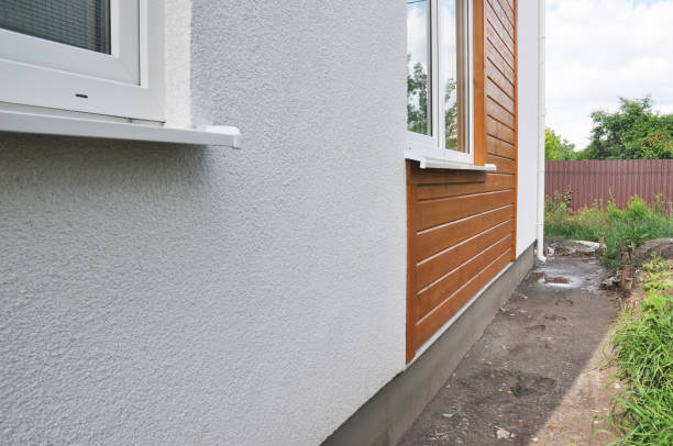 Best Engineered Wood Siding  in Springerville, AZ