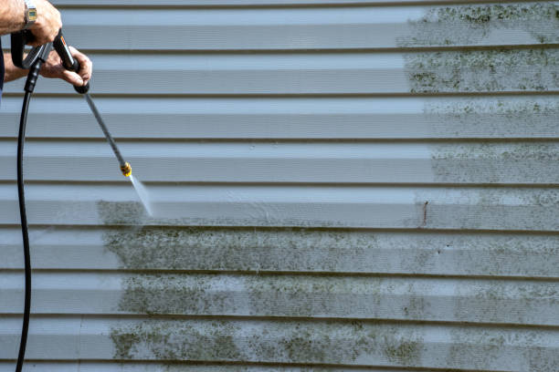 Best Stone Veneer Siding  in Springerville, AZ