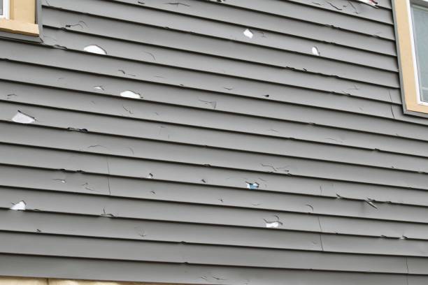 Affordable siding repair and maintenance services in Springerville, AZ